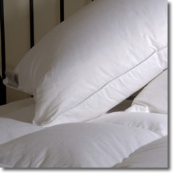 Hollow Fibre Pillow - 75 x 50cm