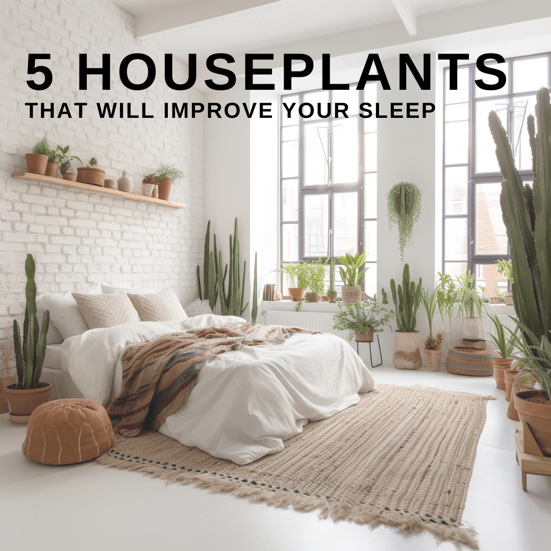plants-that-help-sleep